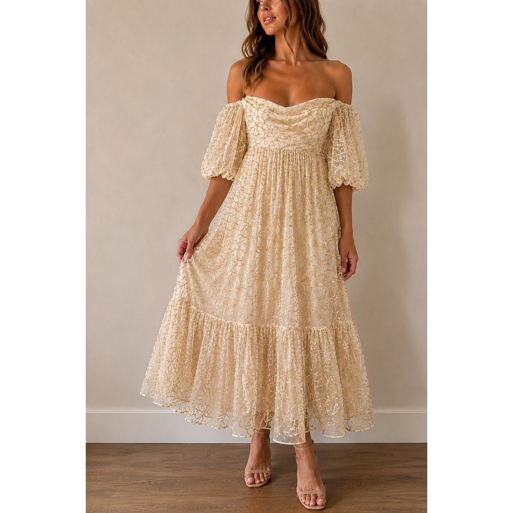 Verb by Pallavi Singhee Ninon Ivory Gold Sequin Tulle Midi Dress Small Fairy NWT
